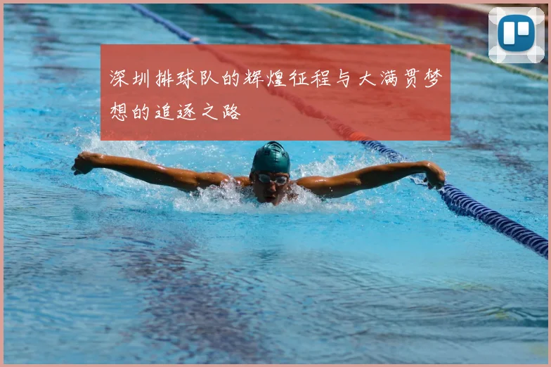 深圳排球队的辉煌征程与大满贯梦想的追逐之路
