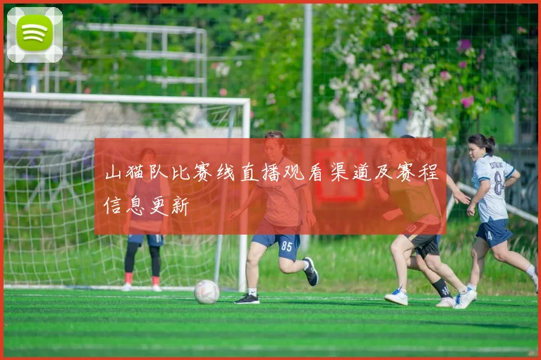 山猫队比赛线直播观看渠道及赛程信息更新