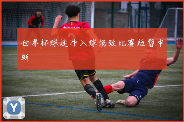 世界杯球迷冲入球场致比赛短暂中断