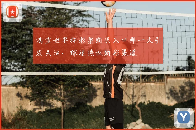 淘宝世界杯彩票购买入口那一文引发关注，球迷热议购彩渠道