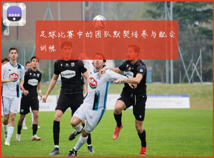 足球比赛中的团队默契培养与配合训练