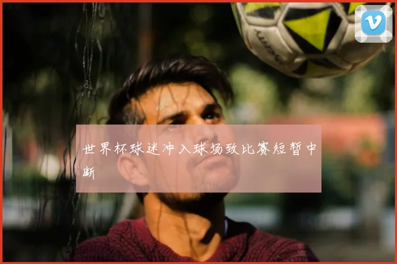 世界杯球迷冲入球场致比赛短暂中断