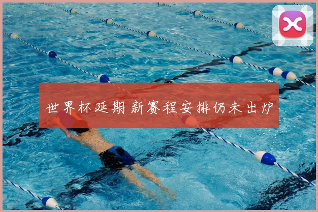 世界杯延期 新赛程安排仍未出炉